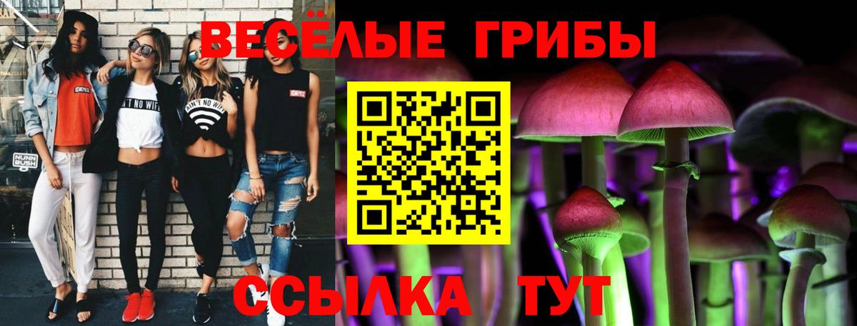 Псилоцибиновые грибы ЛСД  Вход с VPN  Псилоцибиновые грибы мухоморы  Санкт-Петербург 