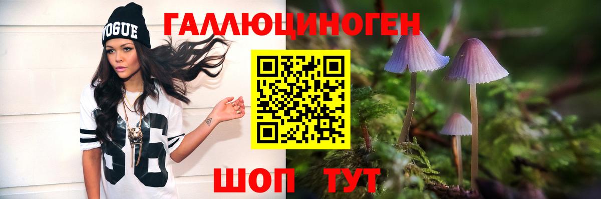 Галлюциногенные грибы Psilocybine cubensis Санкт-Петербург